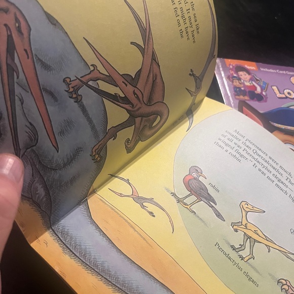 Flying Dinosaurs & Paw Patrol book . - Picture 4 of 9